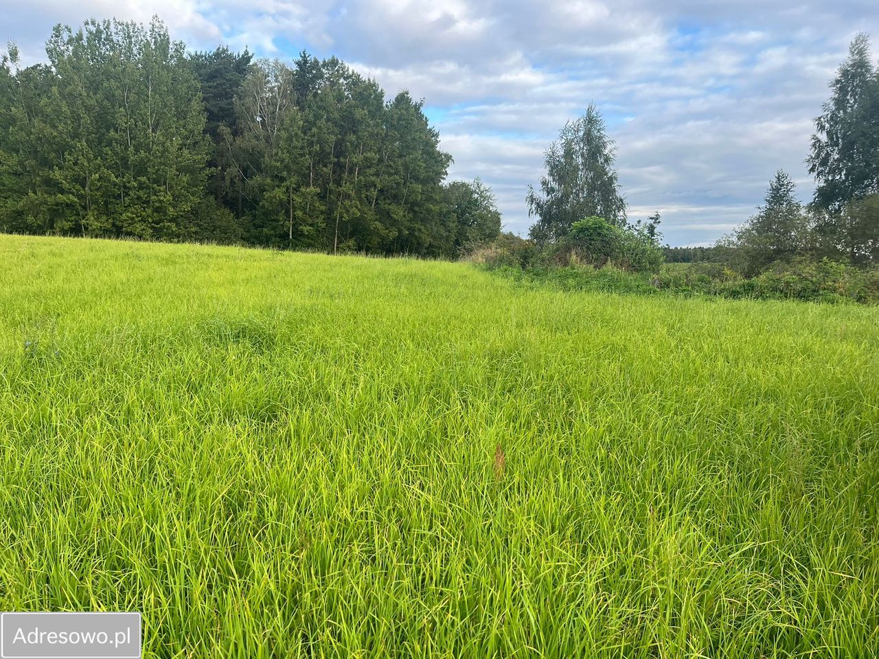 Działka rolna Gady. Zdjęcie 7