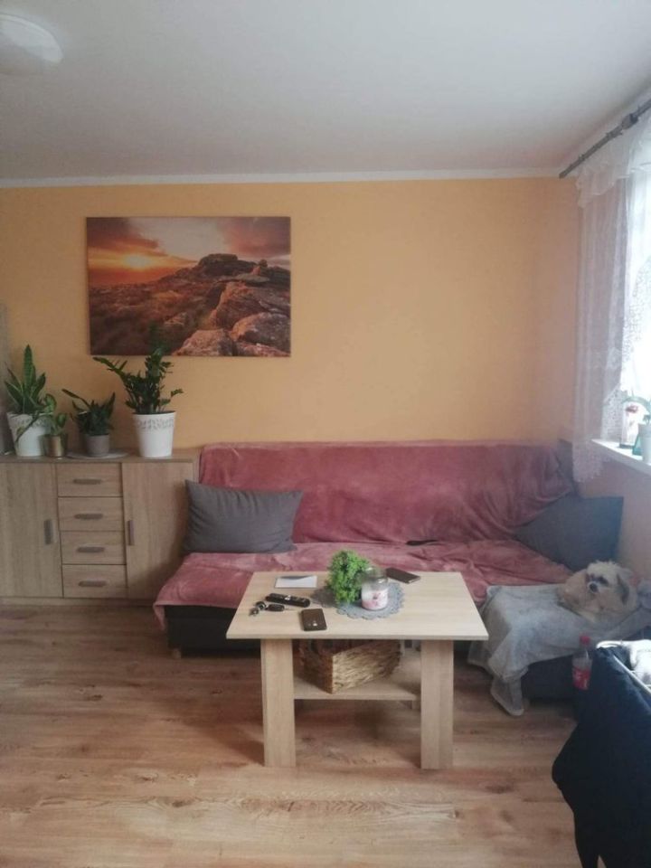 Mieszkanie 1-pokojowe Zgorzelec. Zdjęcie 2