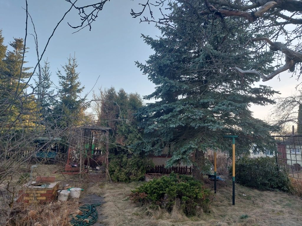 Działka rod Bydgoszcz Szwederowo, ul. Bielicka. Zdjęcie 4