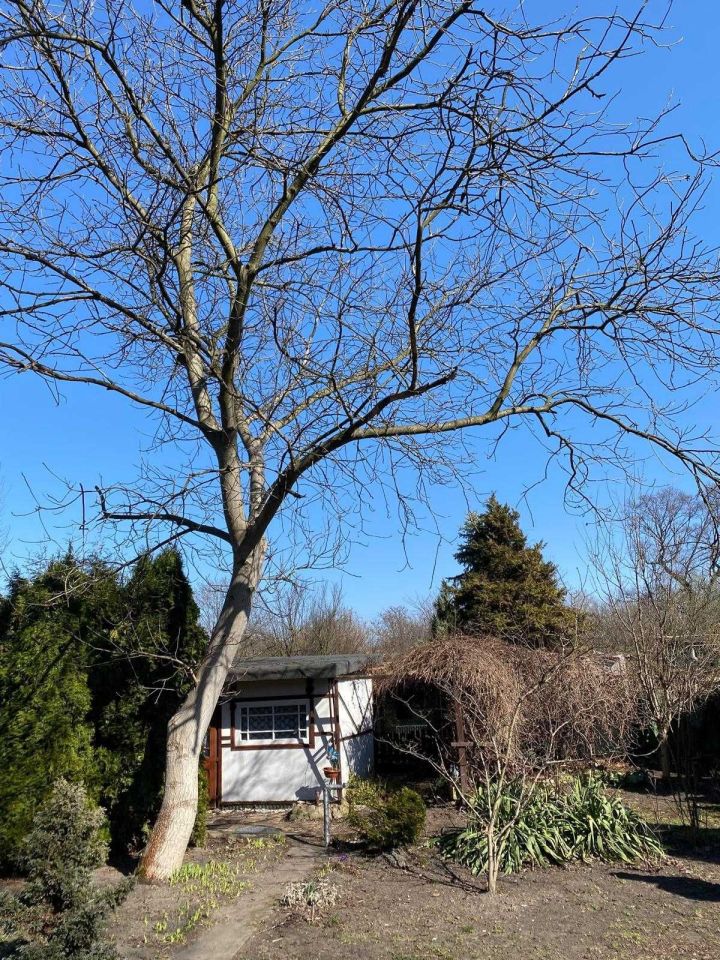 Działka rod Będzin, ul. Małobądzka. Zdjęcie 4