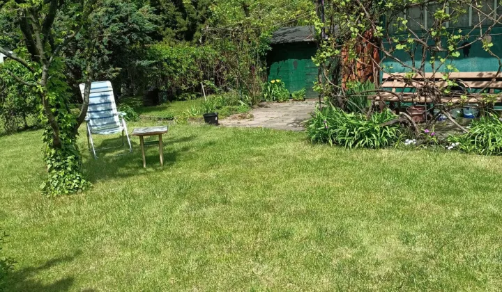 Działka rod Łódź Górna