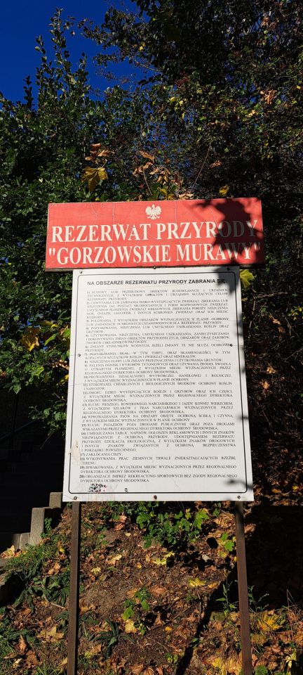 Mieszkanie 3-pokojowe Gorzów Wielkopolski Śródmieście, ul. Plac Słoneczny. Zdjęcie 28