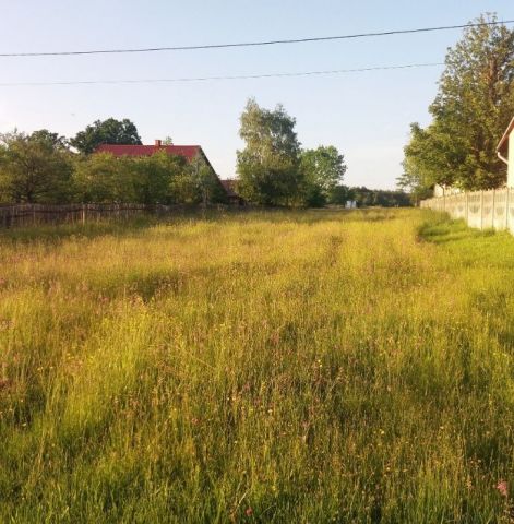 Działka rolno-budowlana Budy Głogowskie. Zdjęcie 1