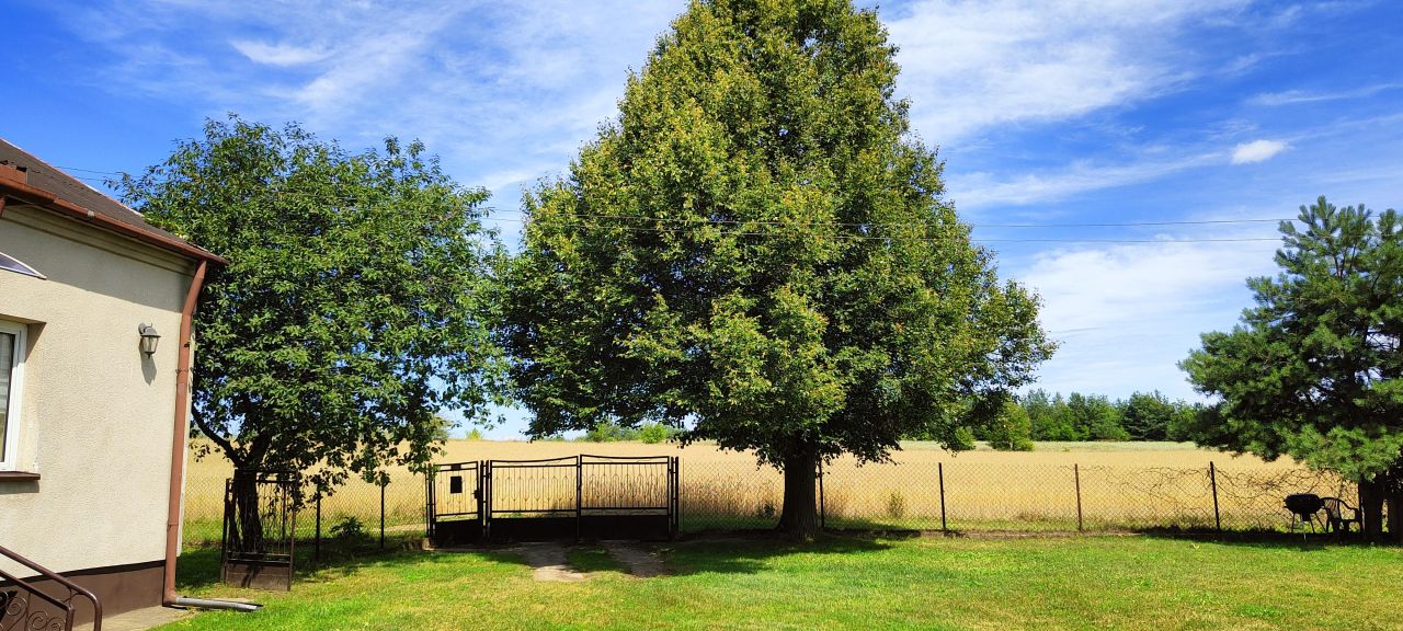 Działka inwestycyjna Modła. Zdjęcie 4