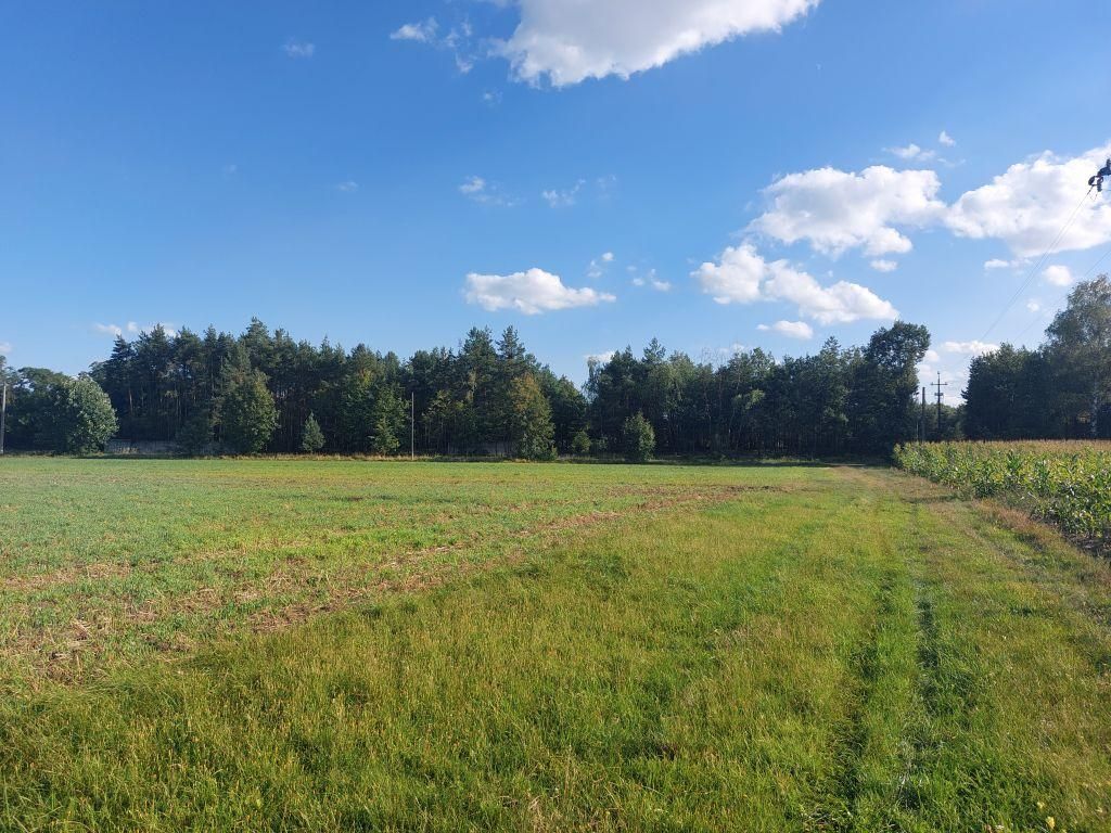 Działka rolno-budowlana Zamęty. Zdjęcie 8