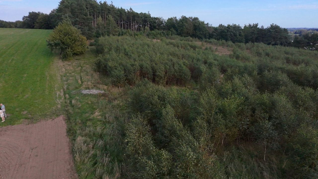 Działka budowlana Czeczewo, ul. Akacjowa