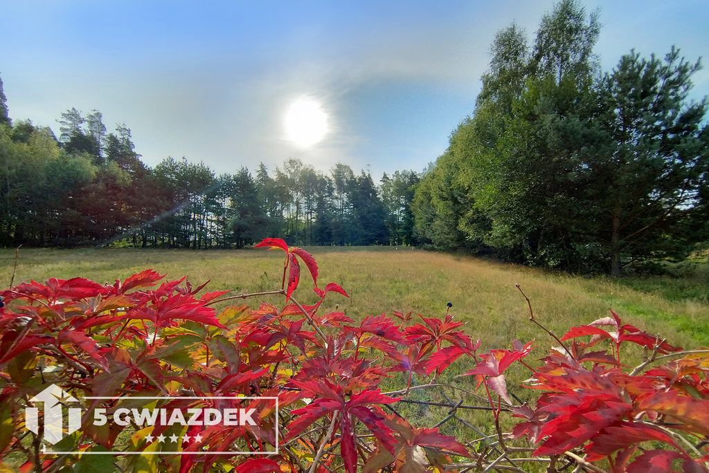 Działka budowlana Szczecinek, ul. Wierzbowa. Zdjęcie 14