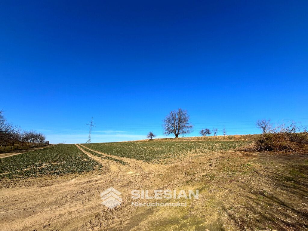 Działka budowlana Witoszów Dolny. Zdjęcie 2