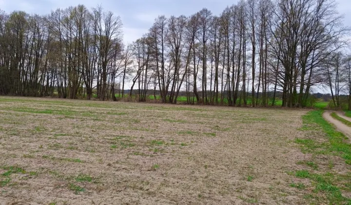 Działka budowlana Mierzyn