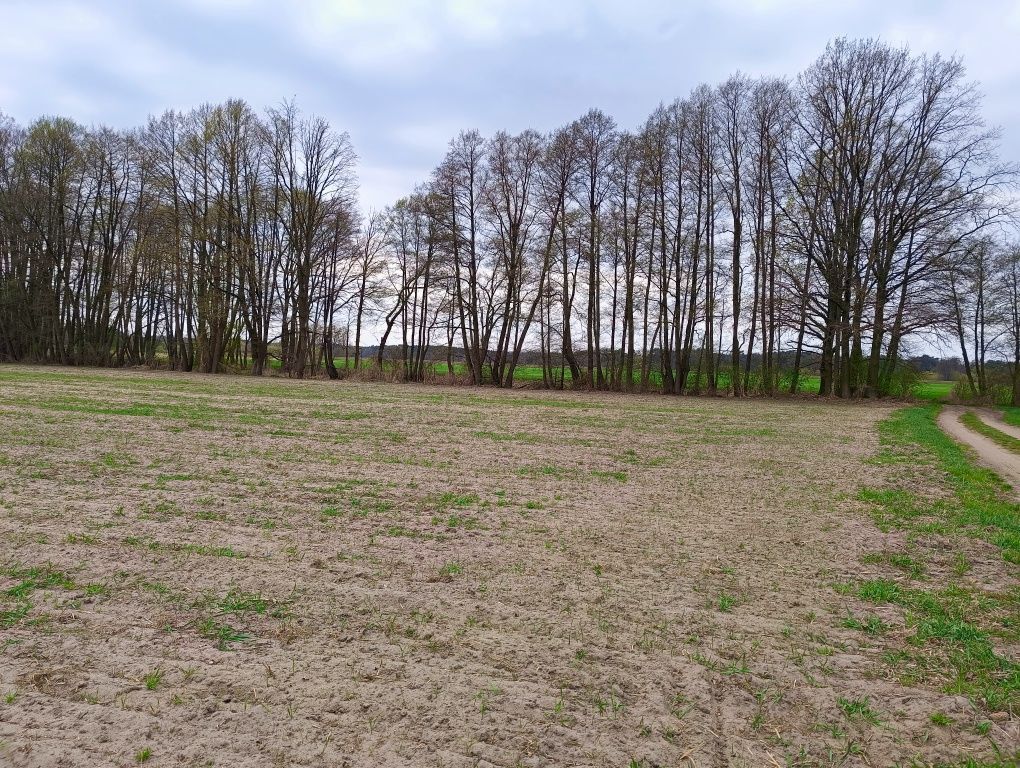 Działka budowlana Mierzyn. Zdjęcie 1