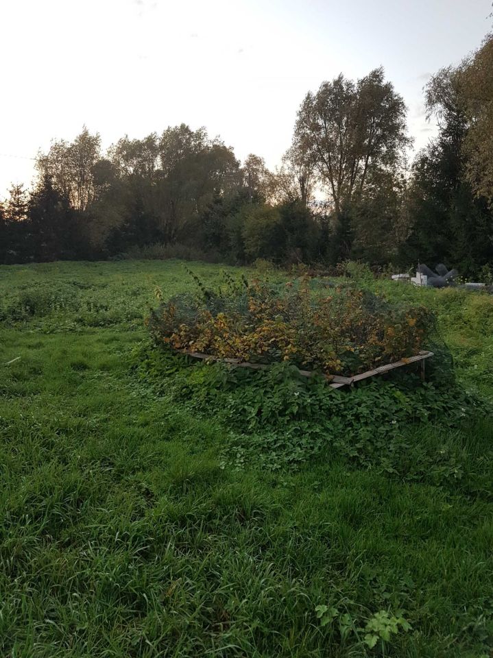 Nieruchomość komercyjna Janowo. Zdjęcie 4