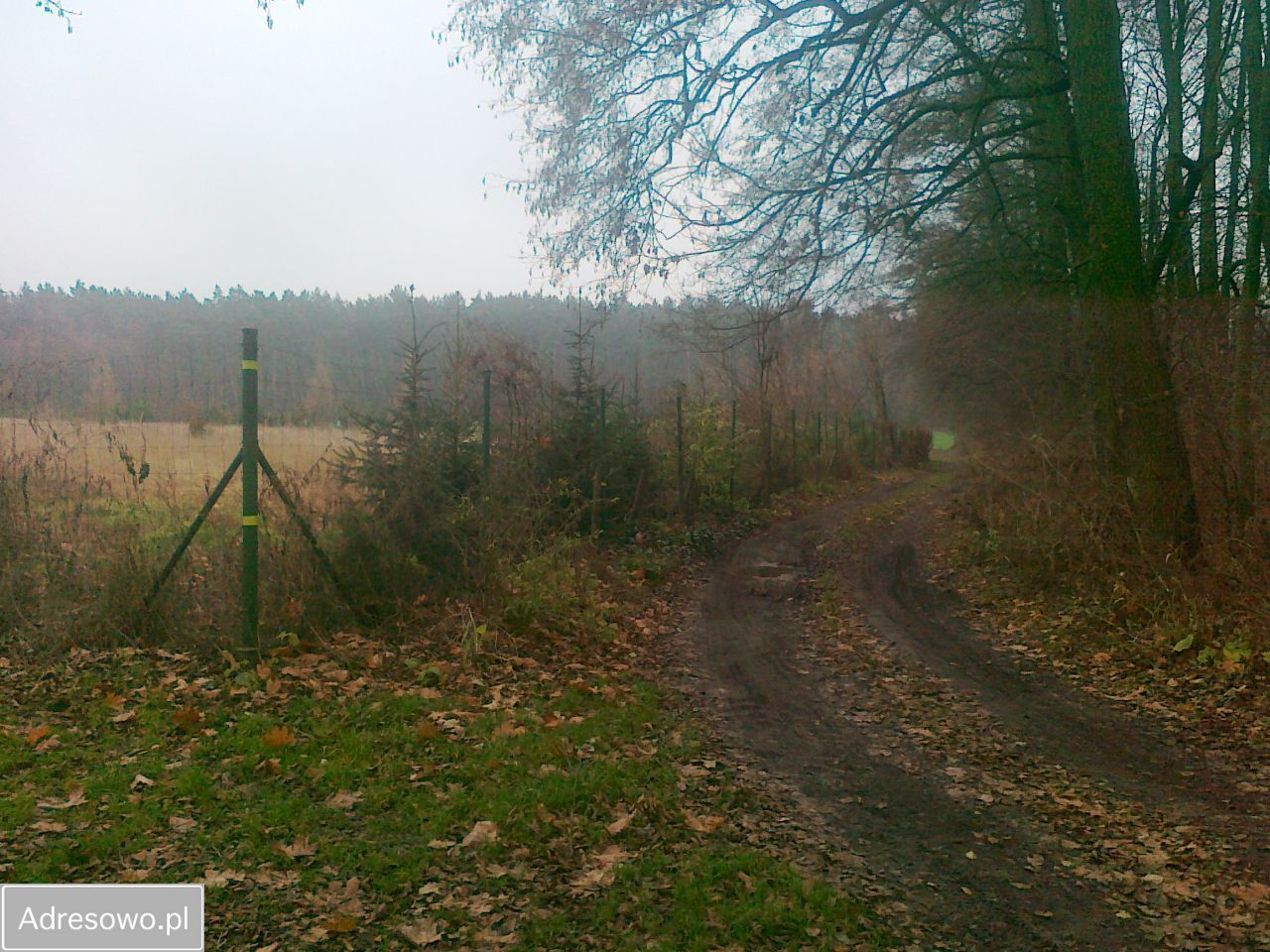 Działka rolna Chrzypsko Małe. Zdjęcie 14