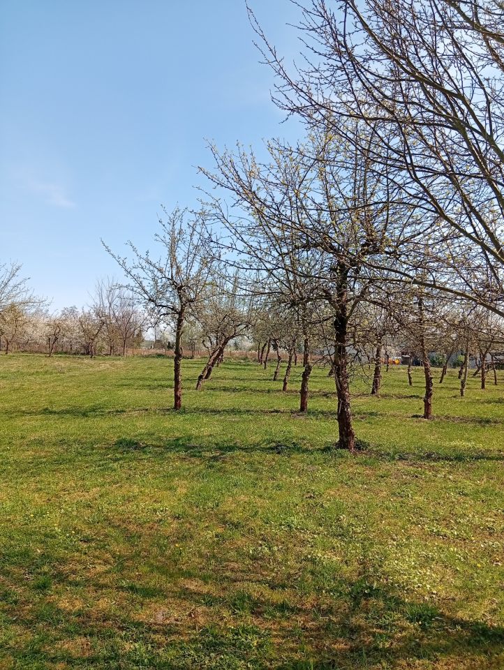 Działka rolno-budowlana Biejków. Zdjęcie 6
