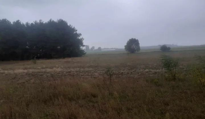 Działka budowlana Dąbrowica-Kolonia