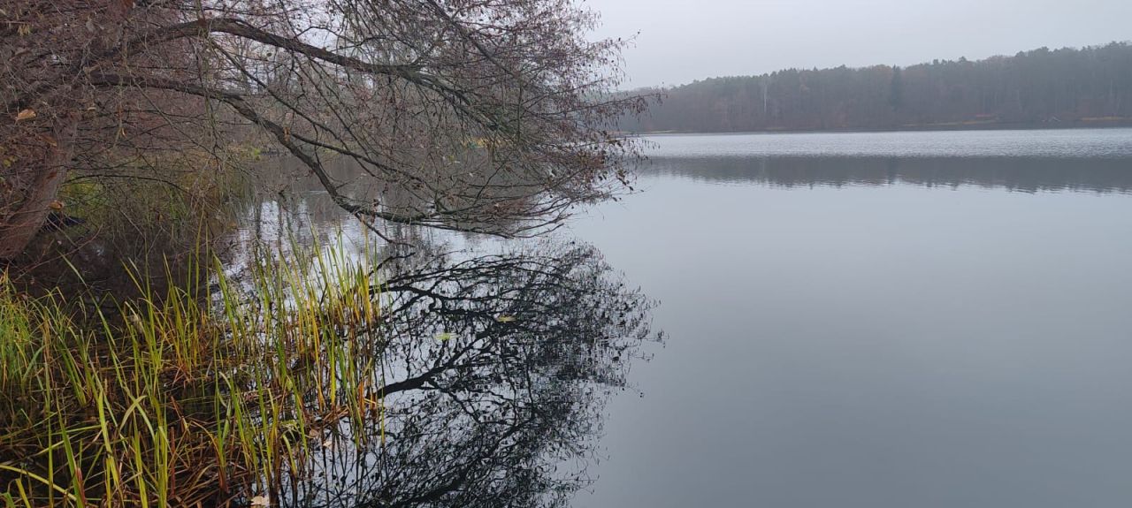 Działka rolno-budowlana Nowa Wioska Wągieł, Wągieł. Zdjęcie 5