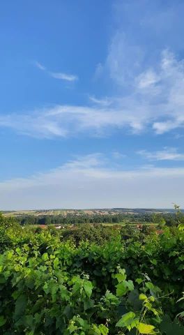 Działka rolna Szczebrzeszyn. Zdjęcie 1