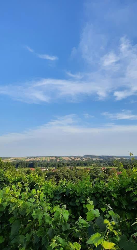 Działka rolna Szczebrzeszyn