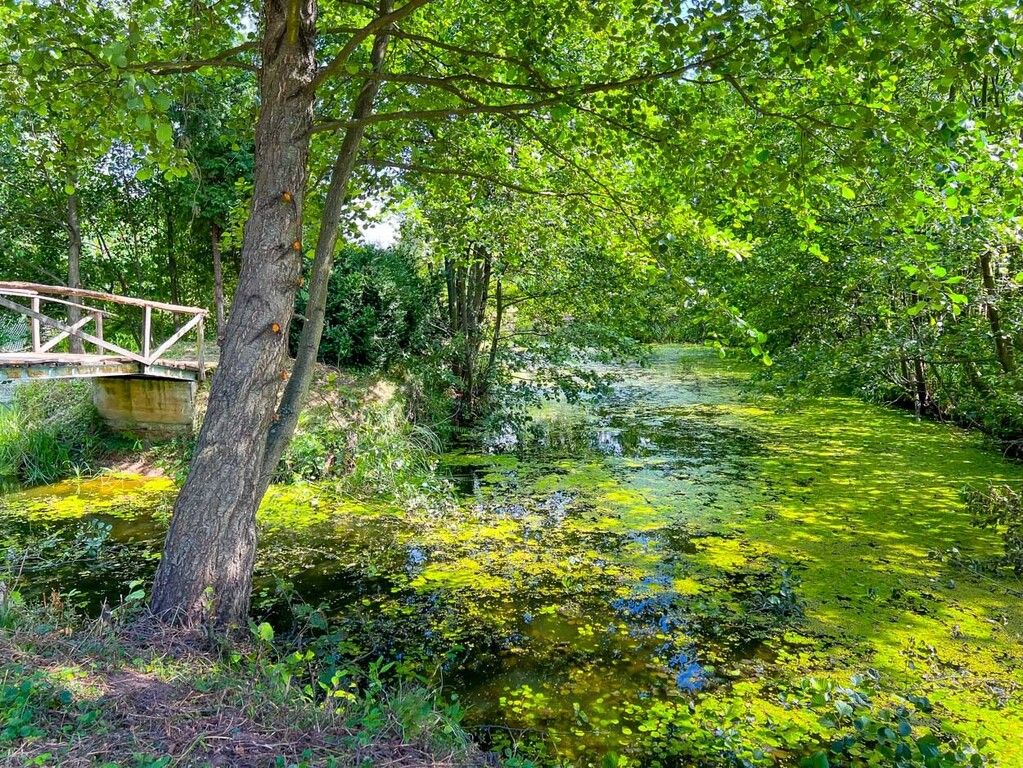 Działka budowlana Boguszków. Zdjęcie 21