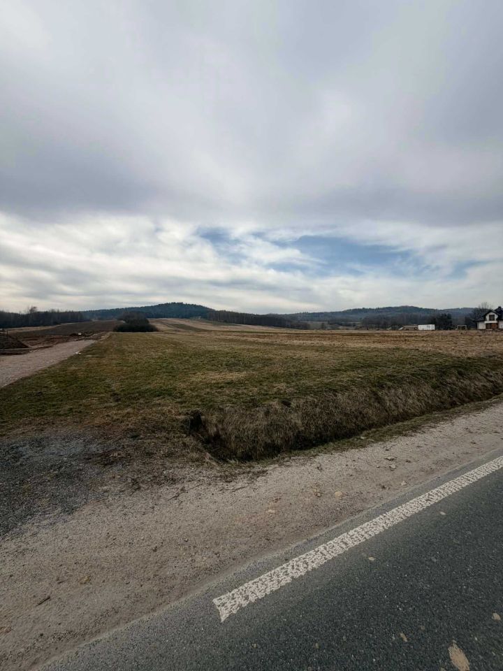 Działka rolno-budowlana Lutcza. Zdjęcie 5