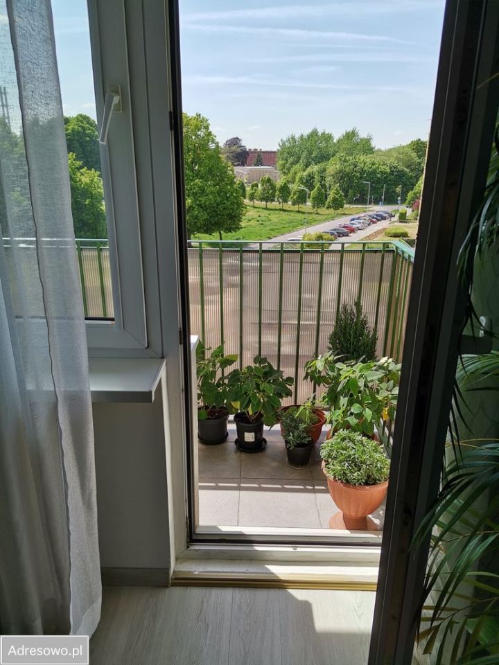 Mieszkanie 3-pokojowe Chojnice, ul. Rzepakowa. Zdjęcie 3