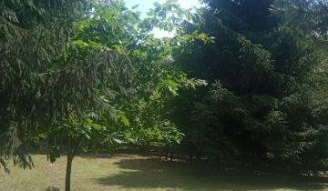 Działka rekreacyjna Starosiele