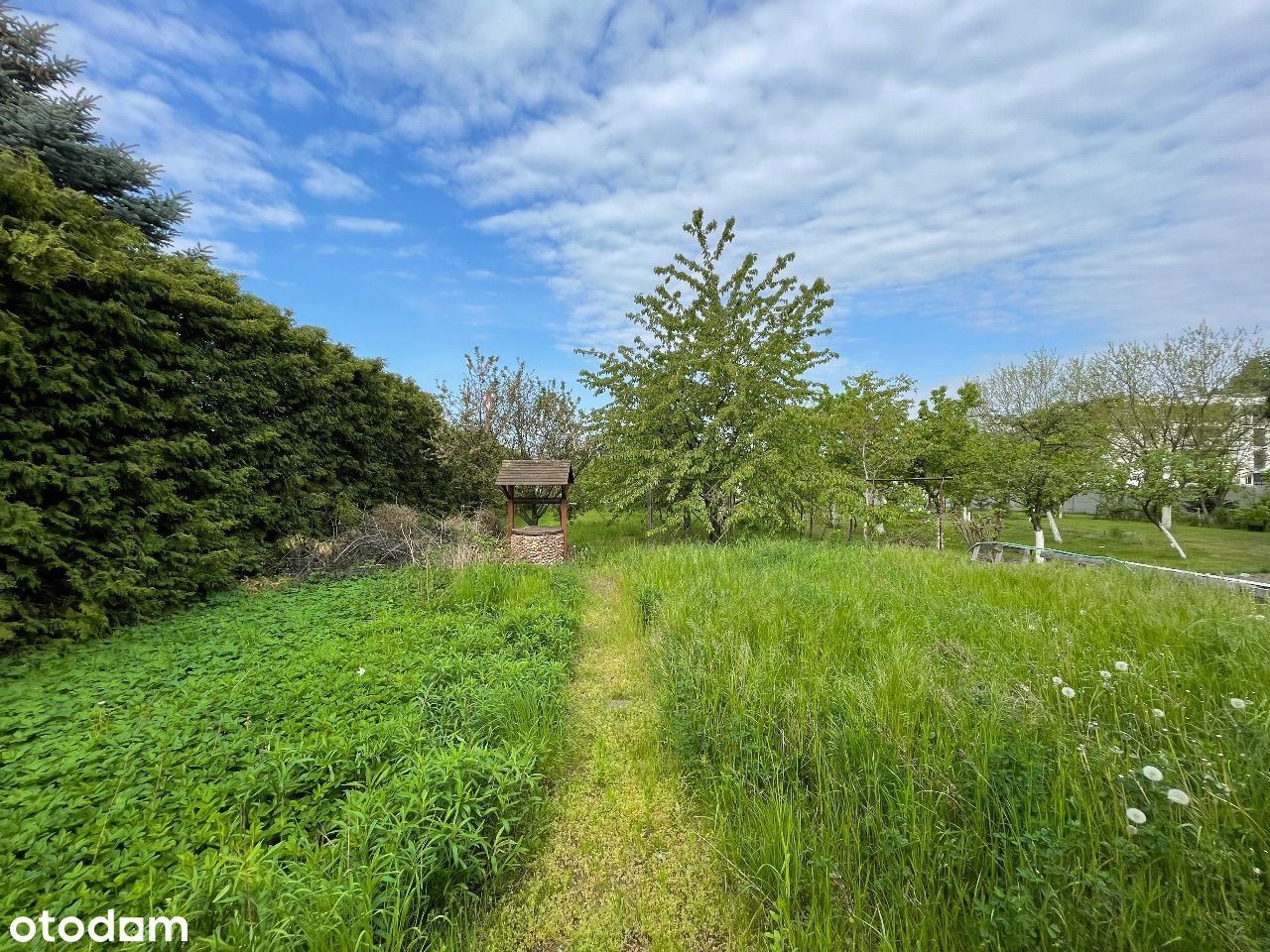 Lokal Jarocin. Zdjęcie 14