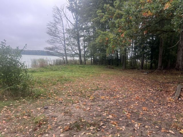 Działka rekreacyjna Świdwowiec. Zdjęcie 1