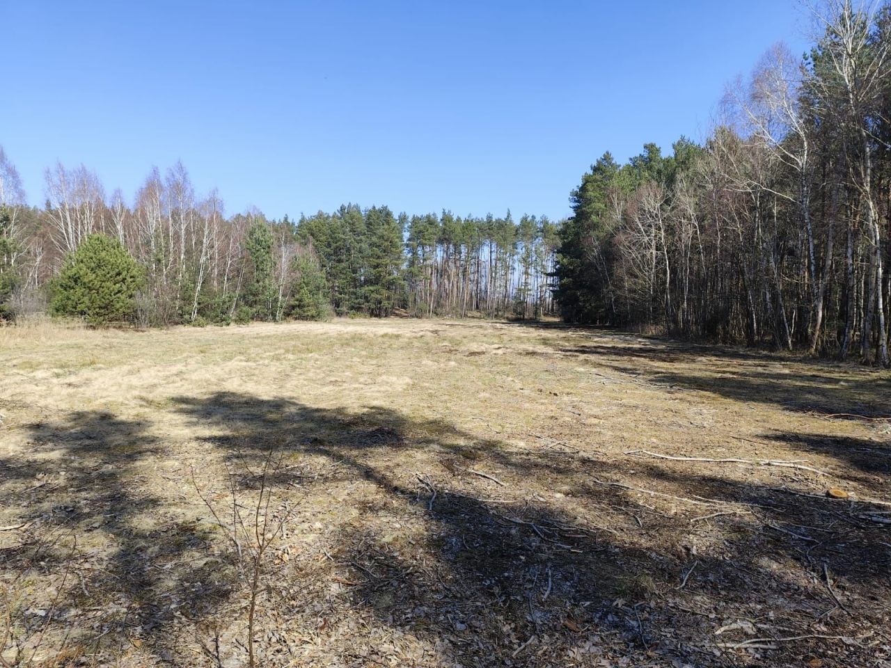 Działka rolna Reduchów-Kolonia. Zdjęcie 3