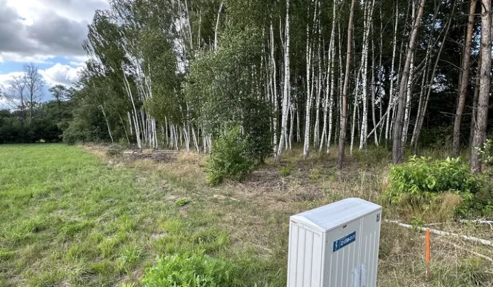 Działka leśna Skierniewice