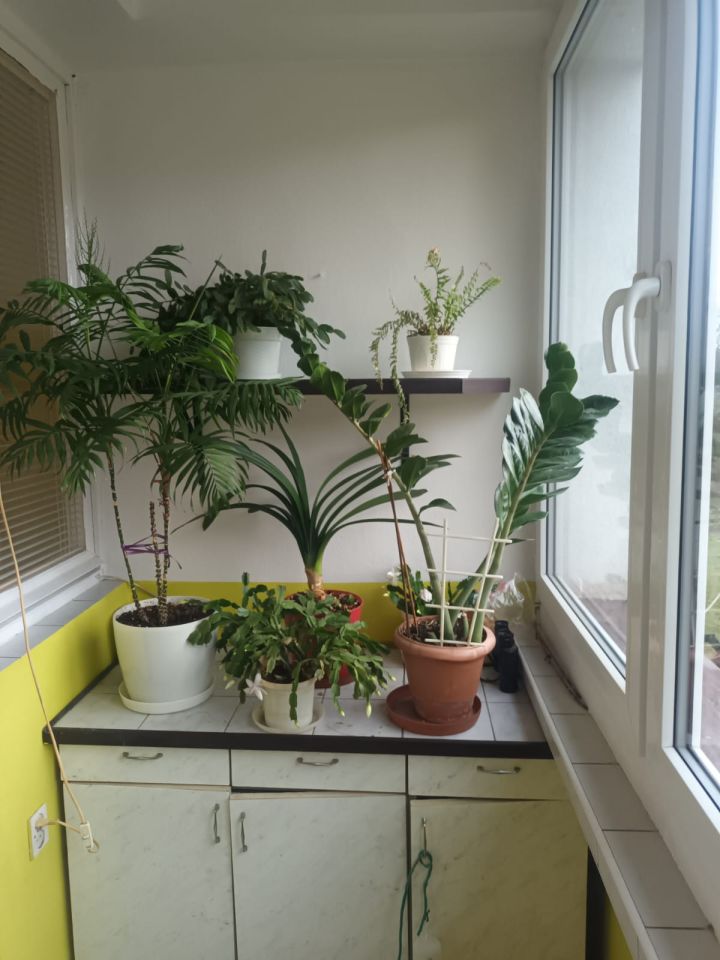 Mieszkanie 2-pokojowe Kudowa-Zdrój, ul. Zdrojowa. Zdjęcie 8