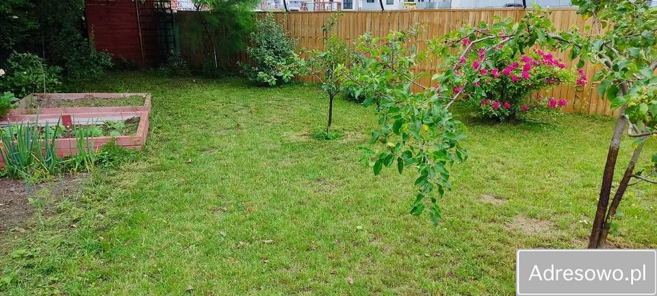 Działka rod Ełk, ul. Kolonia. Zdjęcie 3