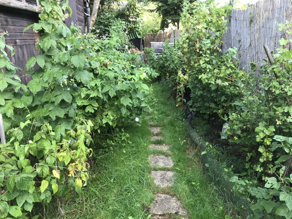 Działka rod Warszawa Targówek, ul. Głębocka. Zdjęcie 3