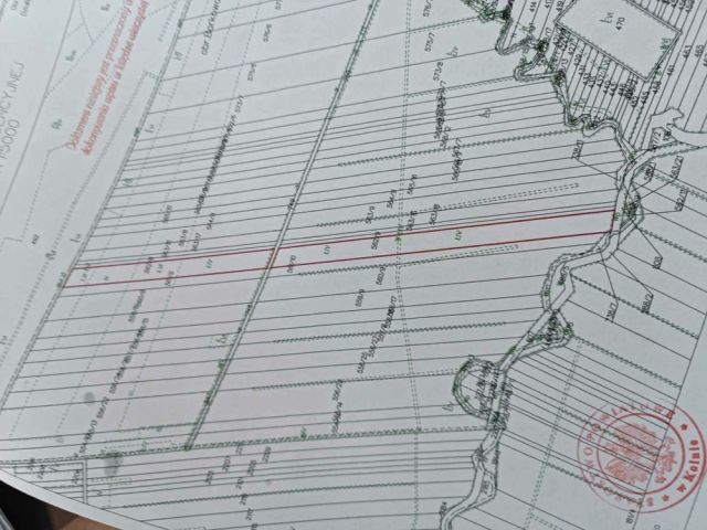 Działka rolna Zabiele Pasterczyk. Zdjęcie 1