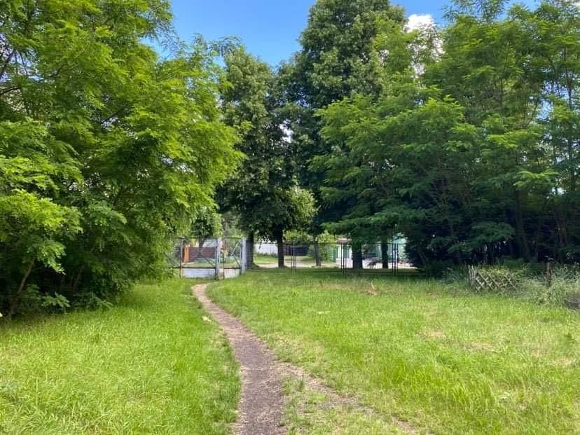 Działka budowlana Głowno Swoboda, ul. Swoboda. Zdjęcie 7