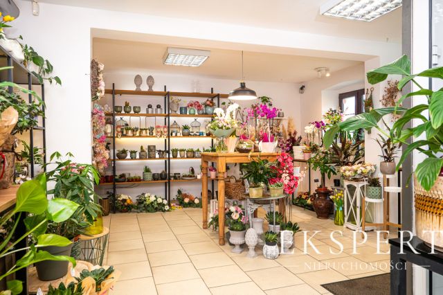 Lokal Koszalin, pl. Zwycięstwa. Zdjęcie 9