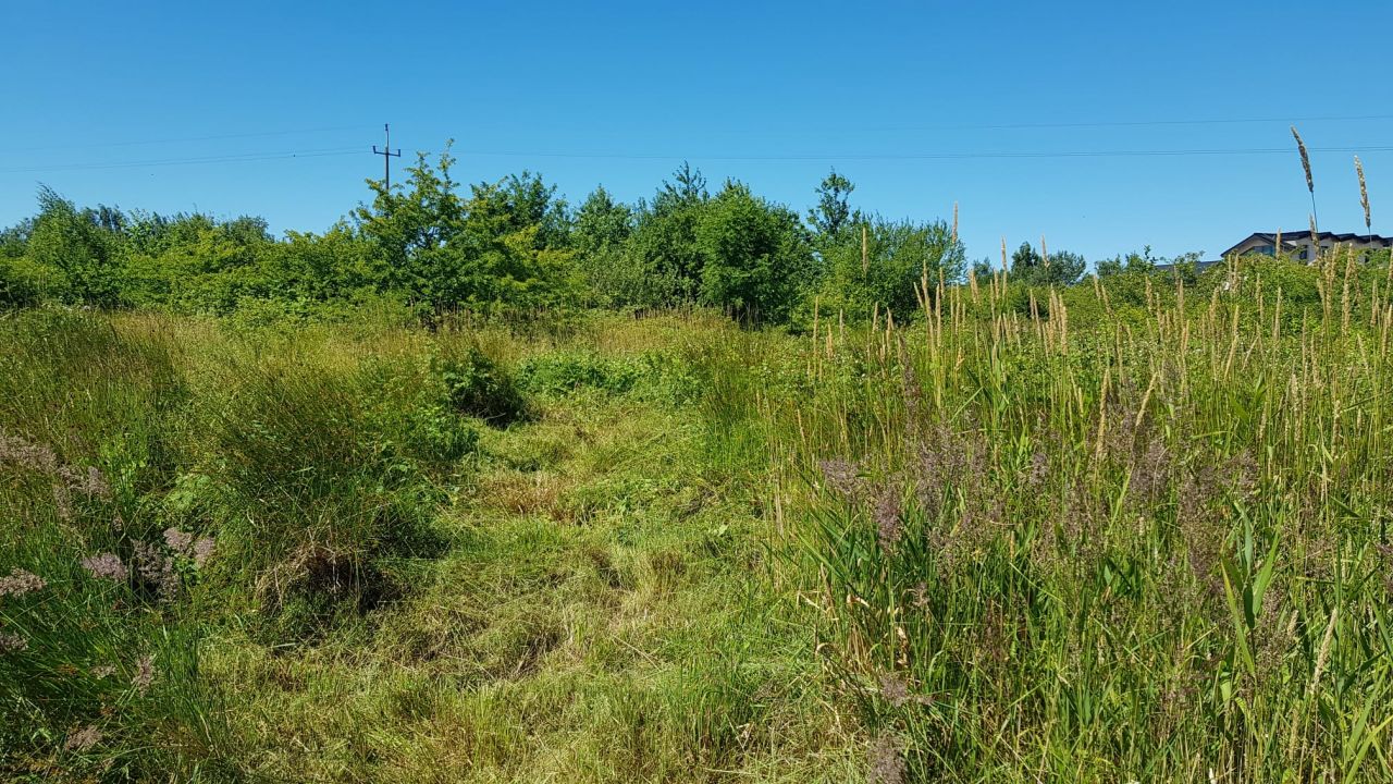 Działka rolno-budowlana Mielno, ul. Zielona. Zdjęcie 5