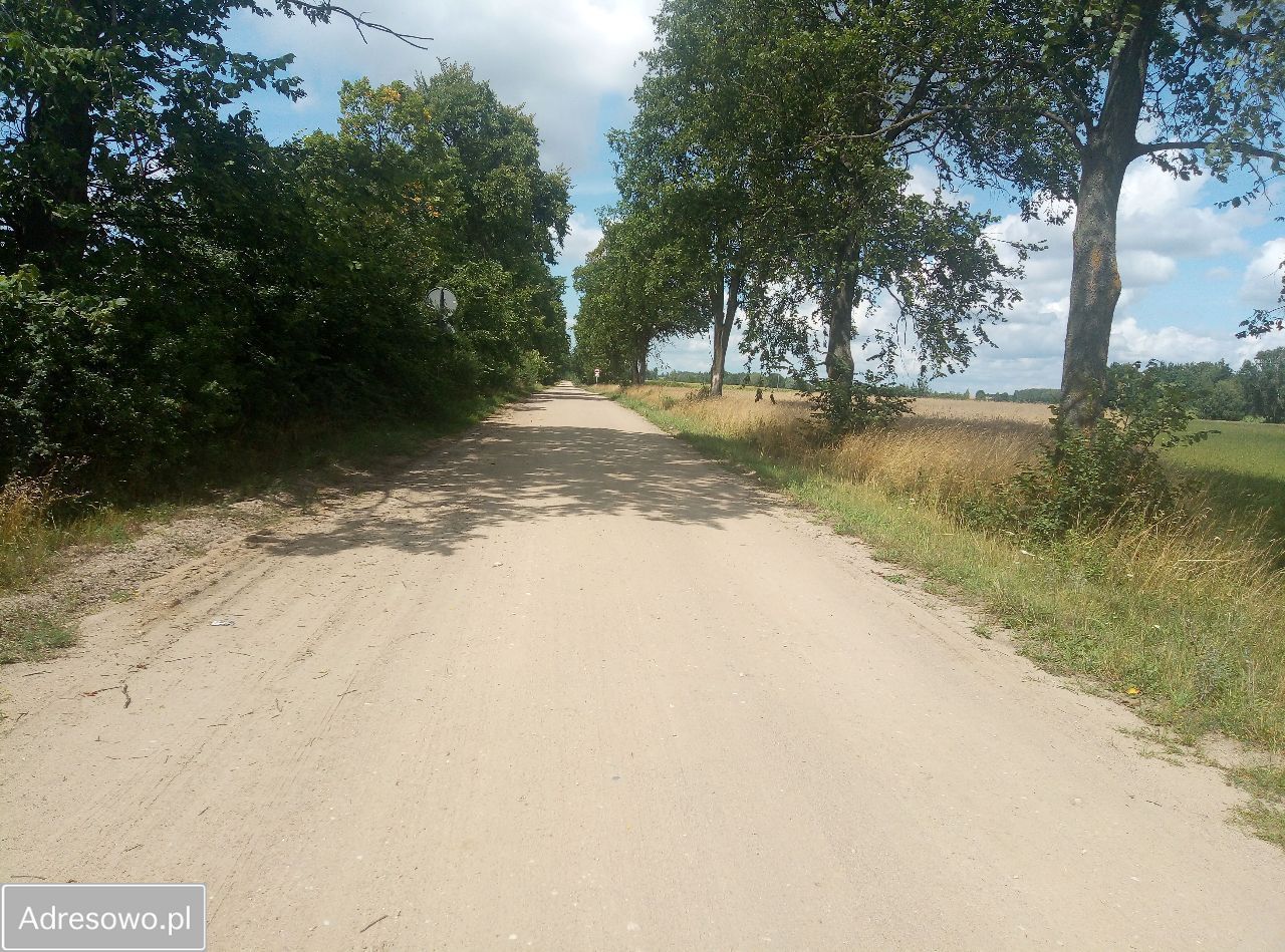 Działka rolna Stara Trzcianka. Zdjęcie 8