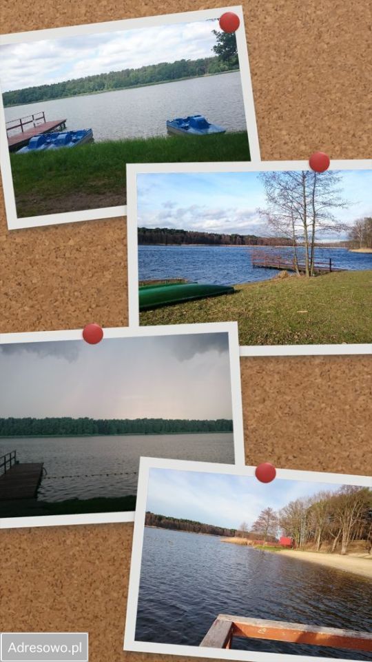 dom letniskowy, 2 pokoje Lgiń. Zdjęcie 7