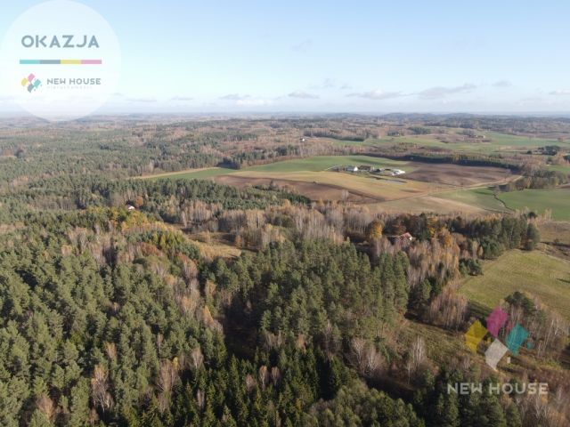 Działka siedliskowa Stryjkowo. Zdjęcie 5