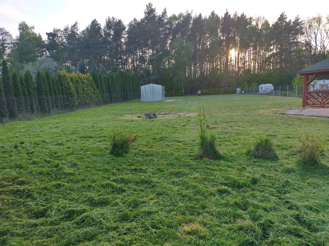 Działka rolna Drwalew. Zdjęcie 8