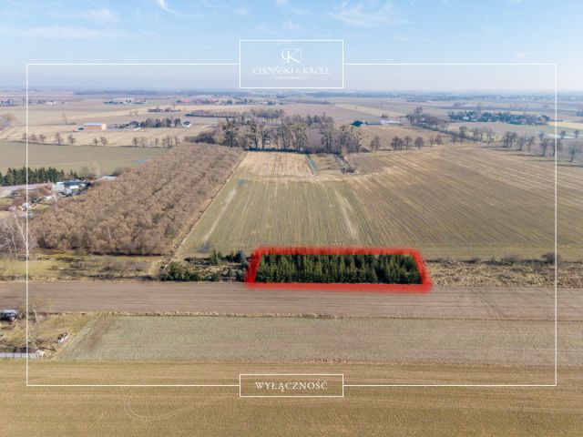 Działka rolna Łowęcin, ul. Sarbinowska. Zdjęcie 4