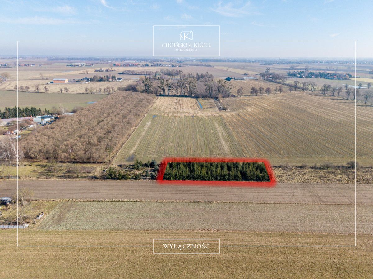 Działka rolna Łowęcin, ul. Sarbinowska. Zdjęcie 4