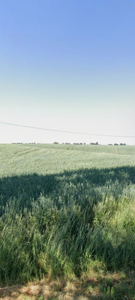 Działka rolno-budowlana Plemięta. Zdjęcie 3