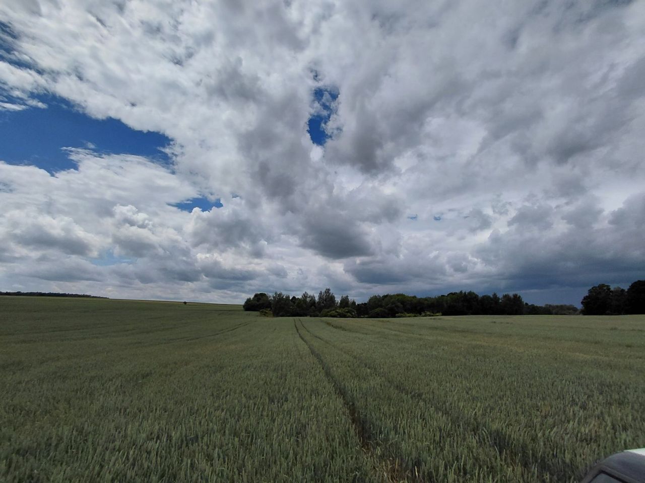 Działka rolna Tuszów. Zdjęcie 1