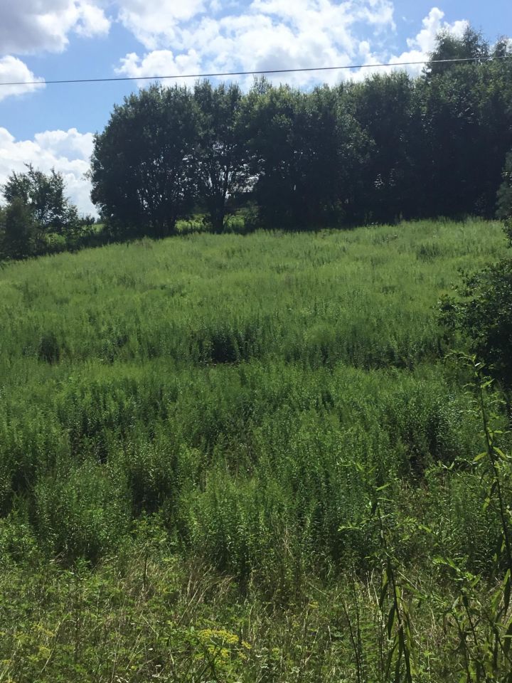 Działka inna Minoga. Zdjęcie 3