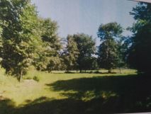 Działka rolna Puchówka