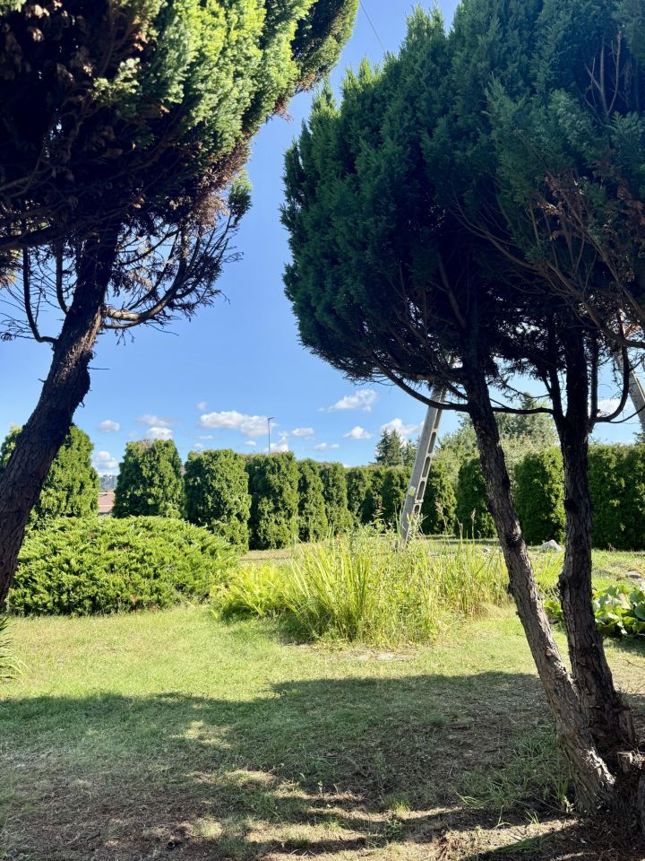 dom wolnostojący, 4 pokoje Kurzętnik Kurzętnik Dolny, ul. Świerkowa. Zdjęcie 15