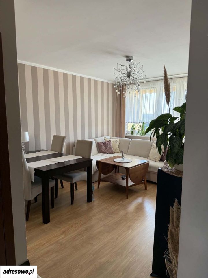 Mieszkanie 4-pokojowe Zielona Góra Centrum, ul. Węgierska. Zdjęcie 2