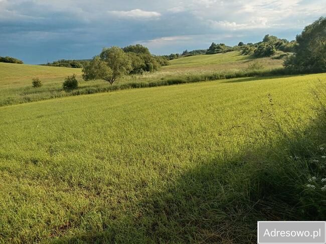 Działka budowlana Taczki