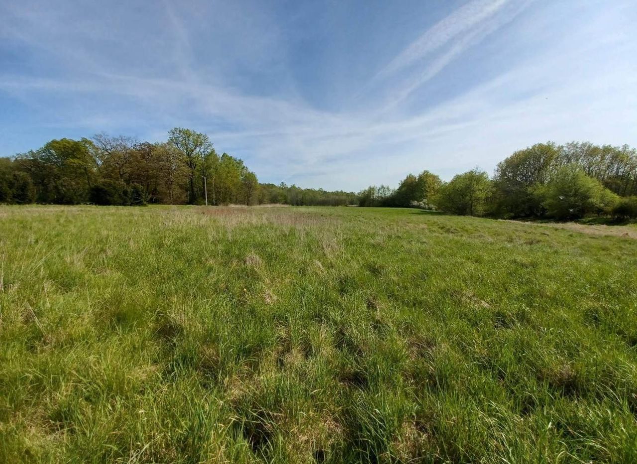 Działka rolna Gliniany. Zdjęcie 4